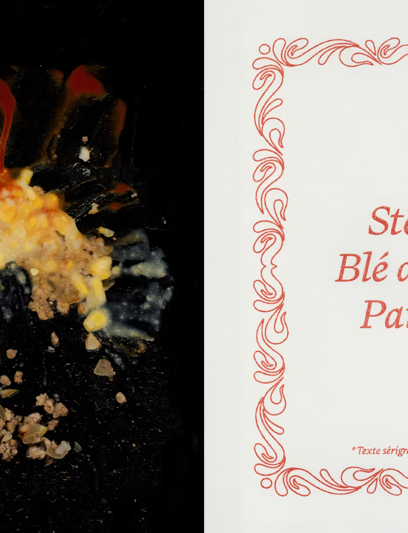 Pica Magazine 15p0 - Héritage